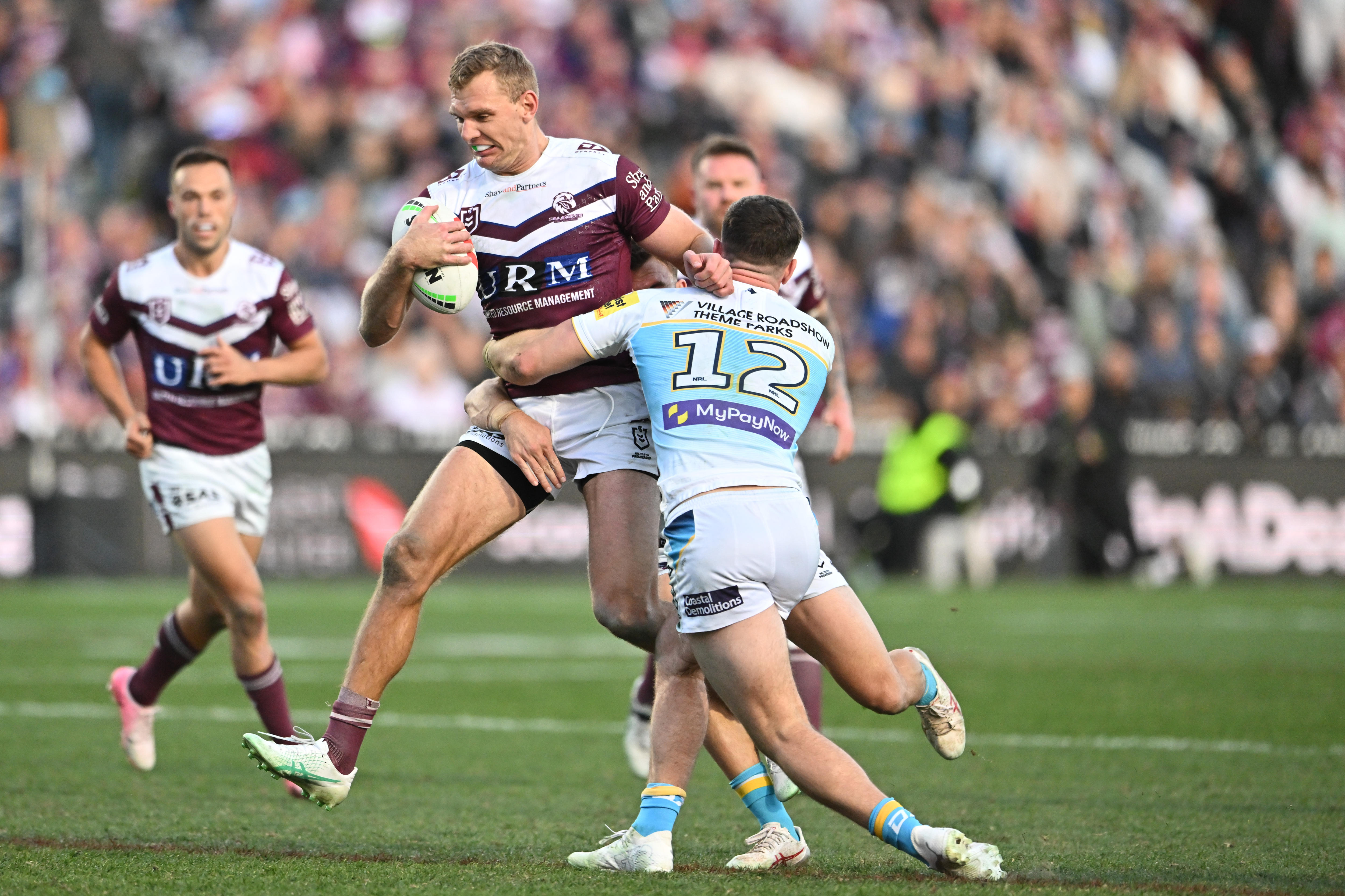 NRL Updates: Penrith Panthers Vs Dolphins, Manly Sea Eagles Vs Gold ...