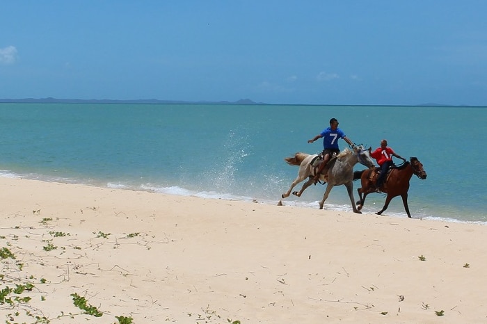 Four horses with jockeys racing down the beach at Punsand Bay, during the Cape York Cup