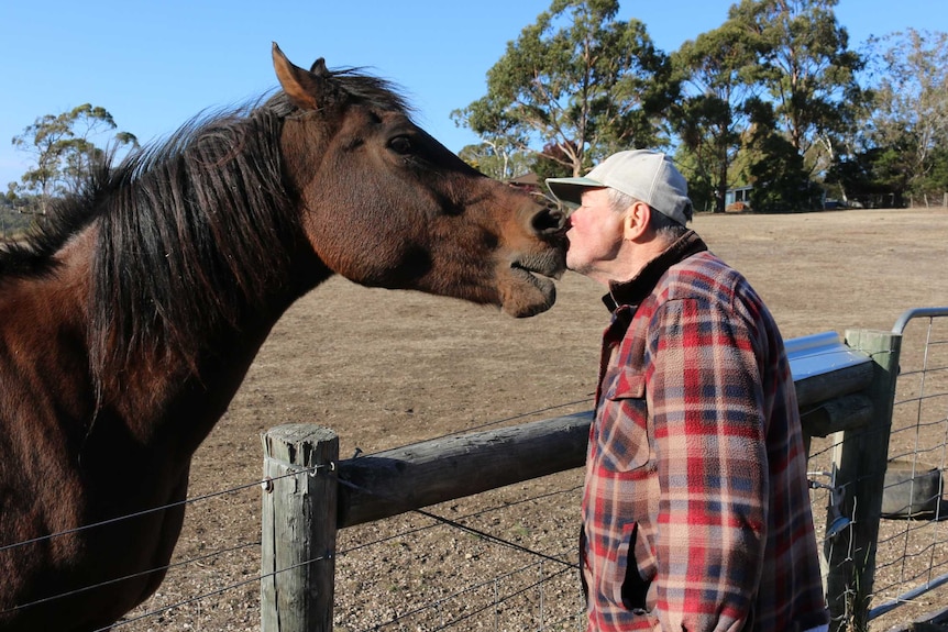 Joe Csaki is kissing a horse.