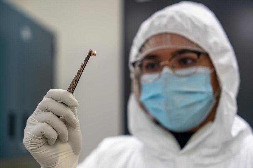 Man in lab suit holding ancient tooth with tweezers