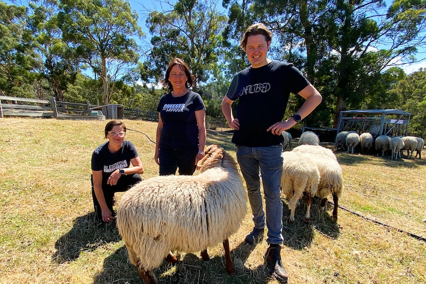 A man and two women, all in black t-shirts, stand in a paddock with long-haired sheep around them.