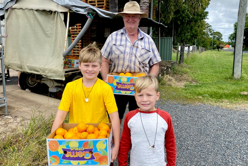 Two boys carry a box of mandarins with a farmer behind them.