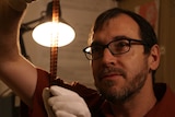 Jon Steiner wearing white gloves looking at strip of film under a lamp.