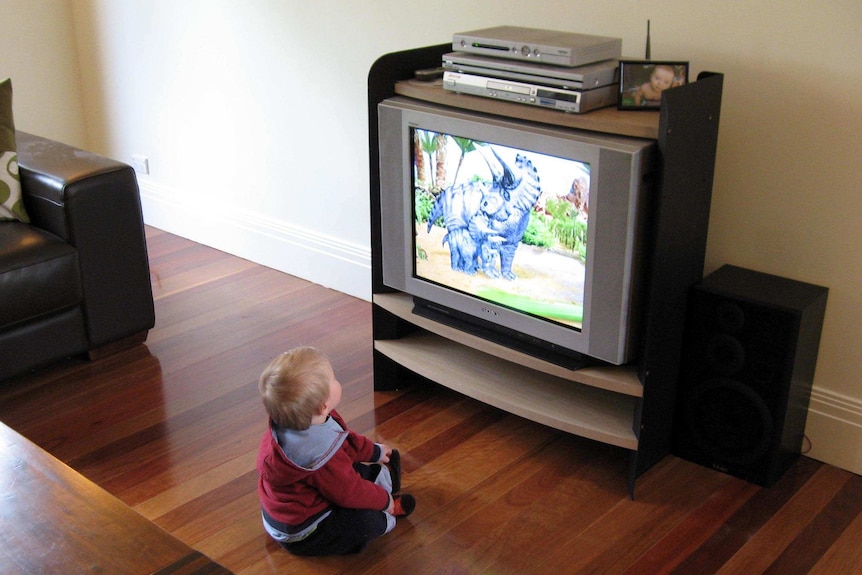 A child watches TV