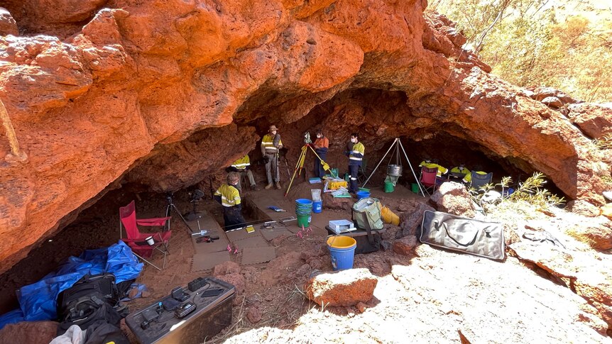 Archaeologists working at a site under a rock shelter