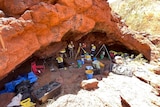 Archaeologists working at a site under a rock shelter