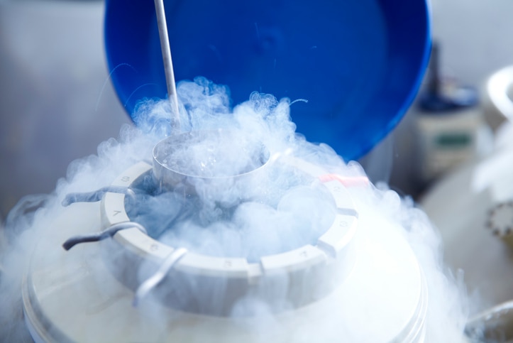 Freezing eggs for IVF