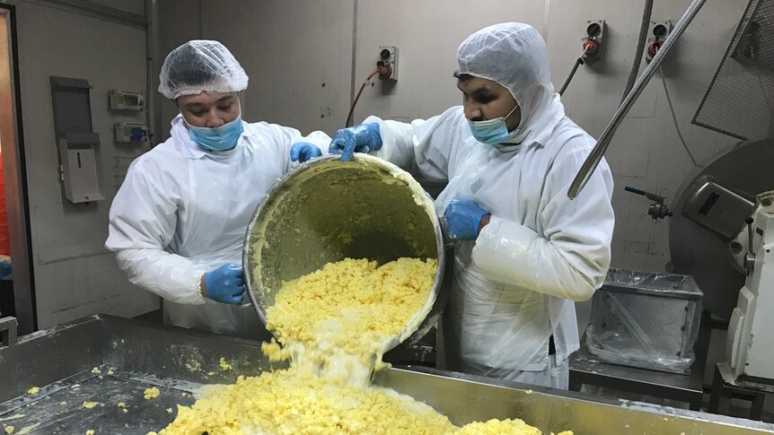 Staff making butter