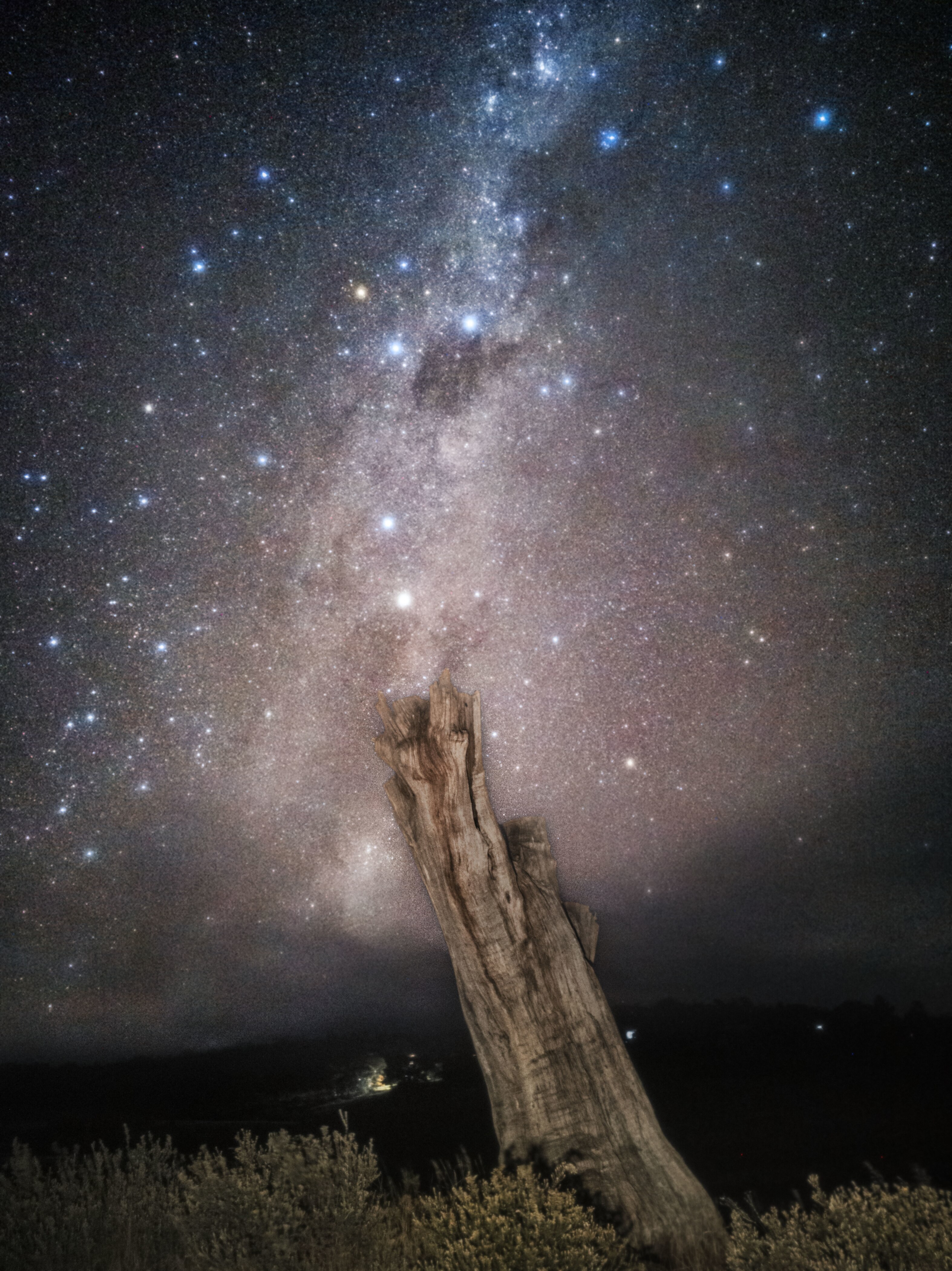 A tree stump before a background of stars