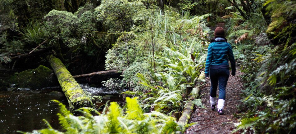 Woman walking along bush track.