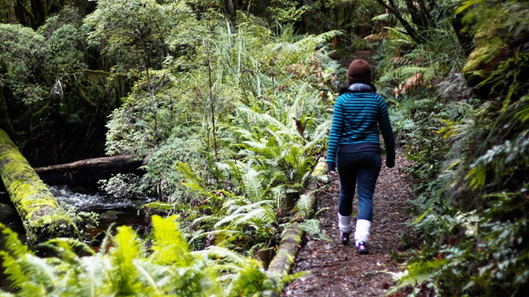 Woman walking along bush track.