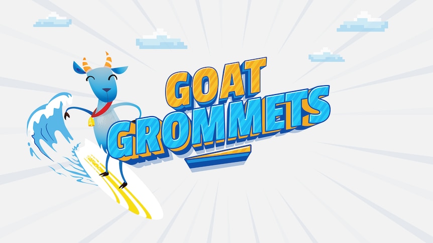 A smiling goat rides a wave on a surfboard. The title reads Goat Grommets.