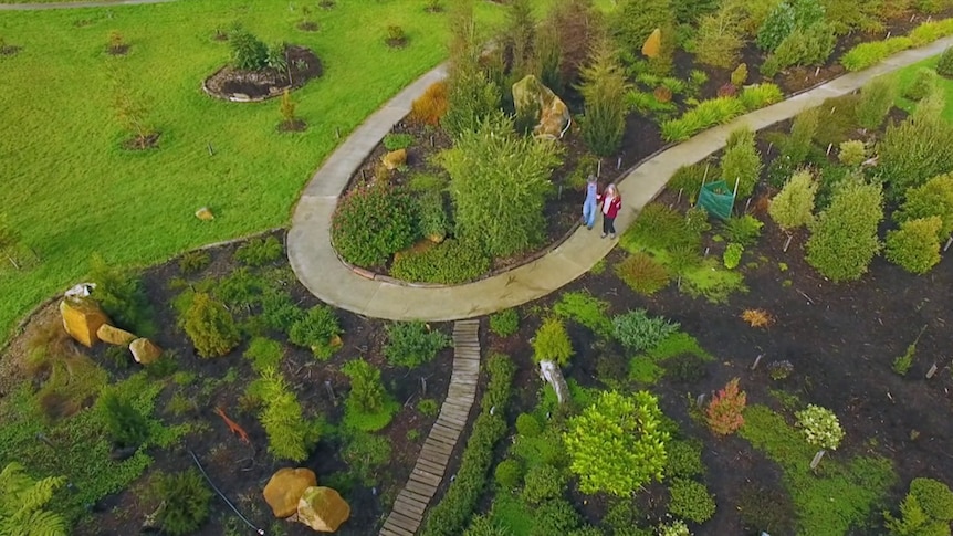 Shot from above of two people walk on path in a very green garden
