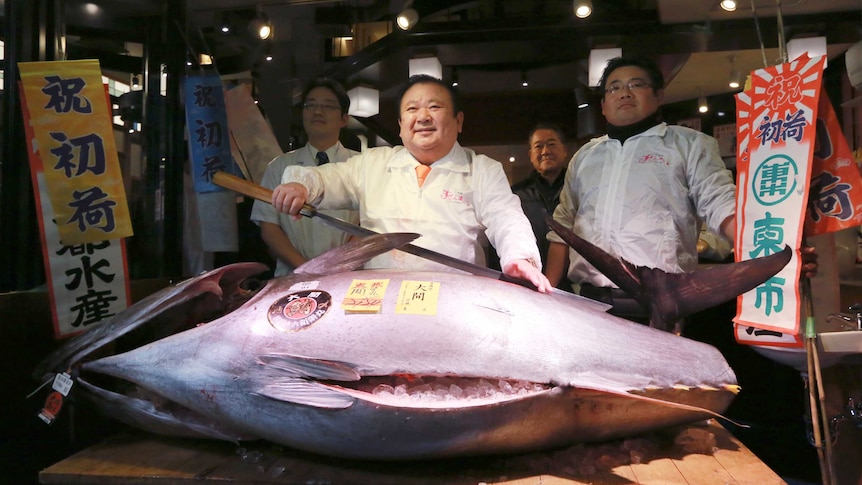 The bluefin tuna sold for more than $860,000