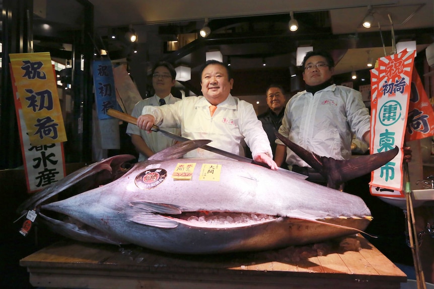 The bluefin tuna sold for more than $860,000