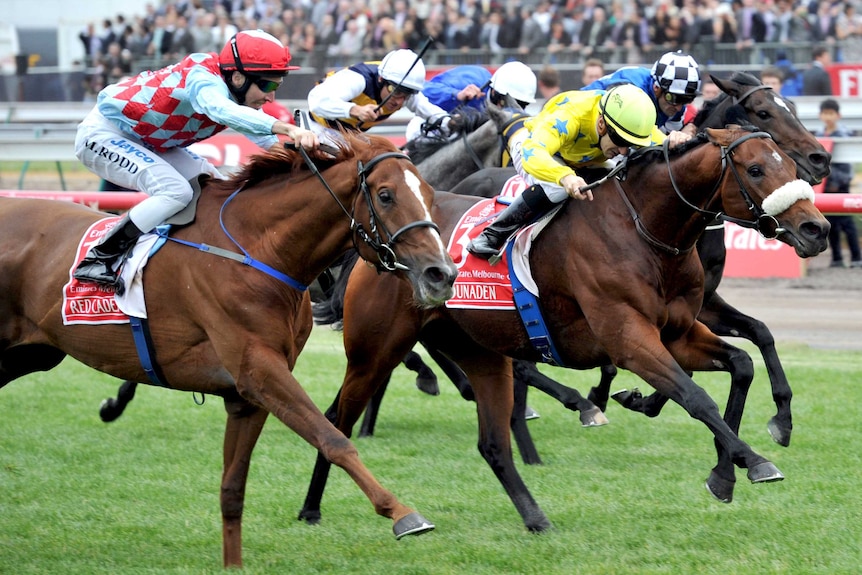 Red Cadeaux and Dunaden in driving Melbourne Cup finish