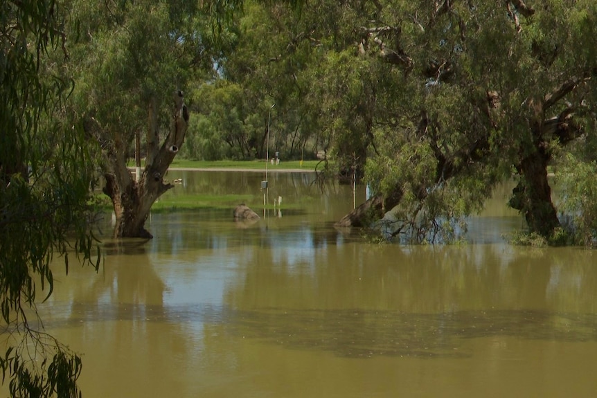 Vcitory Caravan Park in Wilcannia submerged underwater due to flooding, February 2022