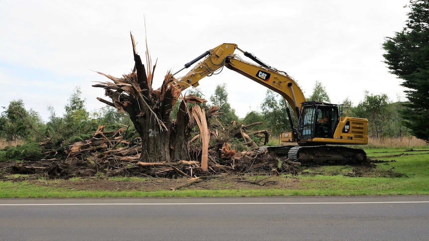 An excavator pulling down a splintered tree trunk.