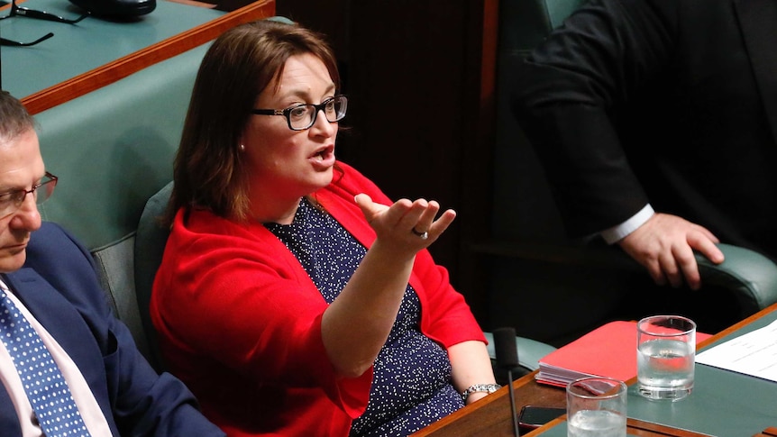 Justine Keay gesticulates with her right hand while seated in the House of Representatives. She's wearing a red jacket.