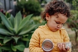 Little boy looking at tinned foods