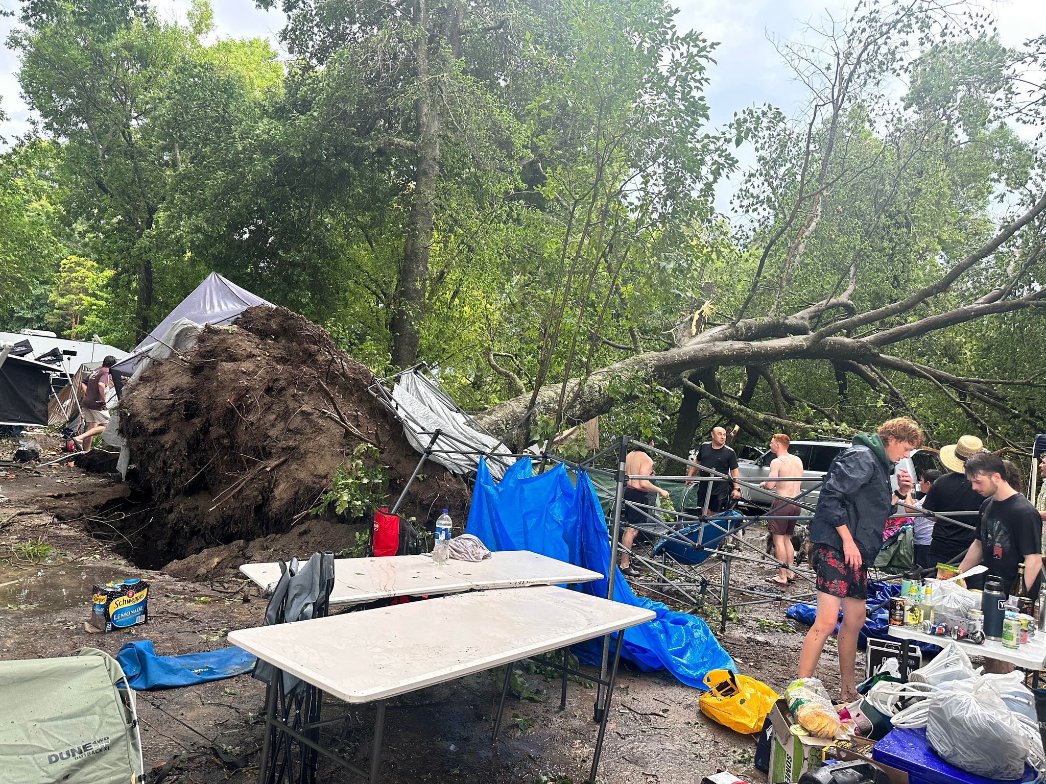 A large tree ripped out of the ground narrowly missing campers set up. 