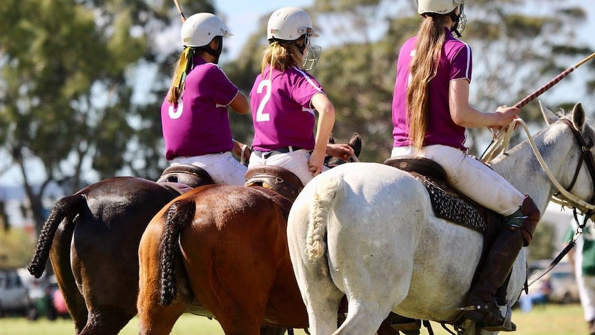 Three girls ride their horses in a row, carrying their polocrosse racquets.
