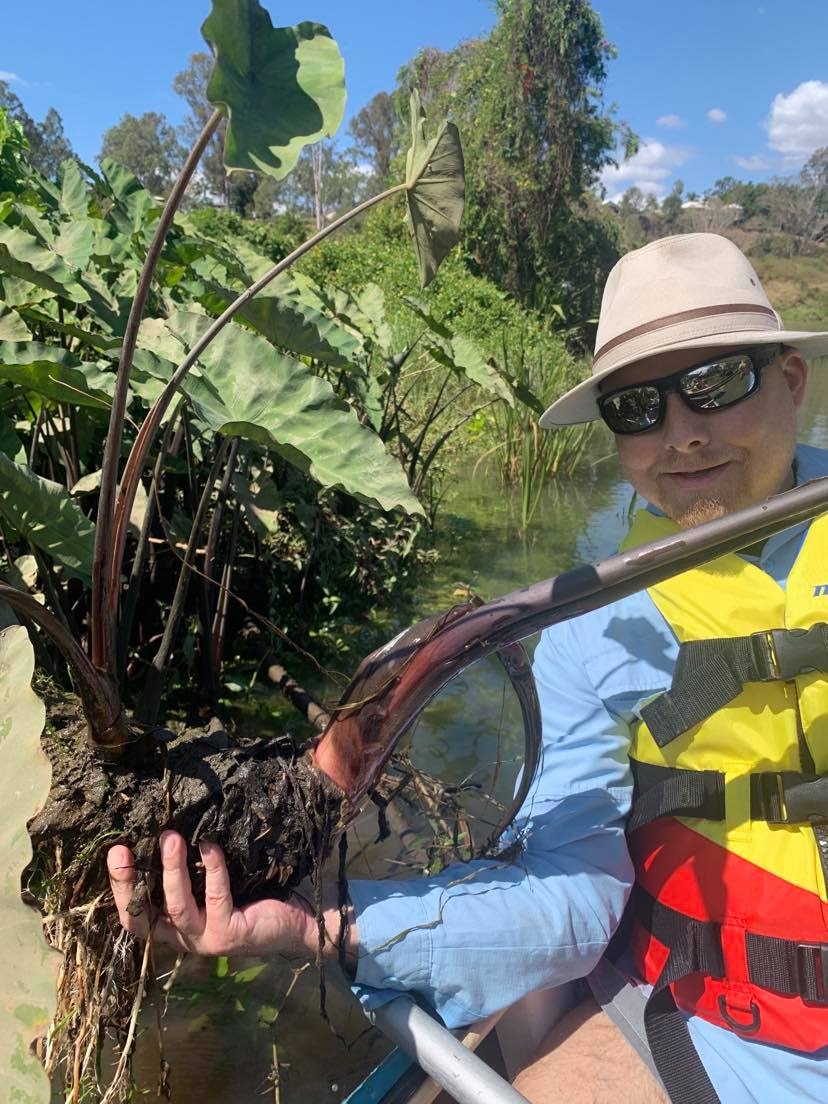 A man in a canoe wearing a brown hat, sunglasses, and lifevest holds a taro plant.