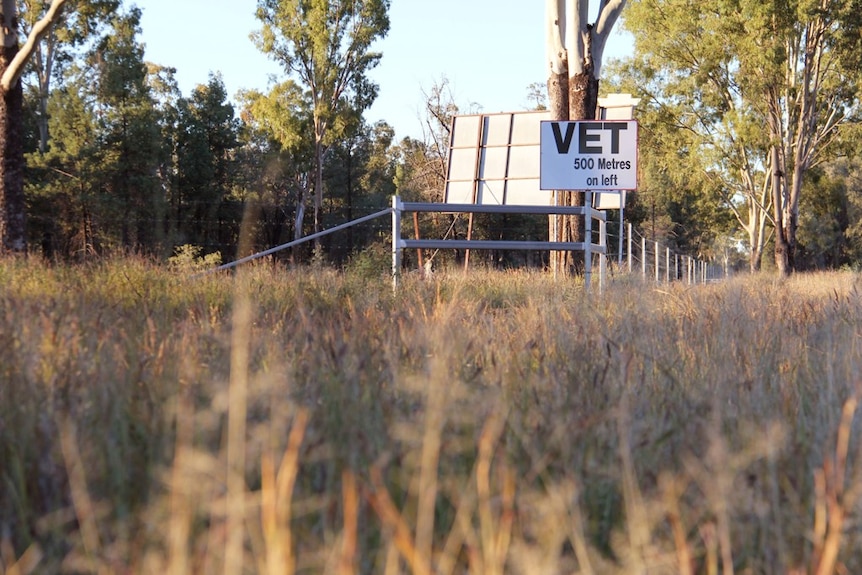 Long grass with a small sign stuck to a tree saying 'Vet 500 metres on left'.