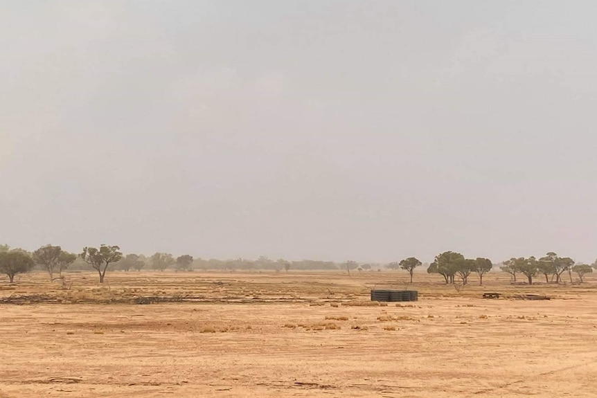 Fine mist at El Kantara Longreach