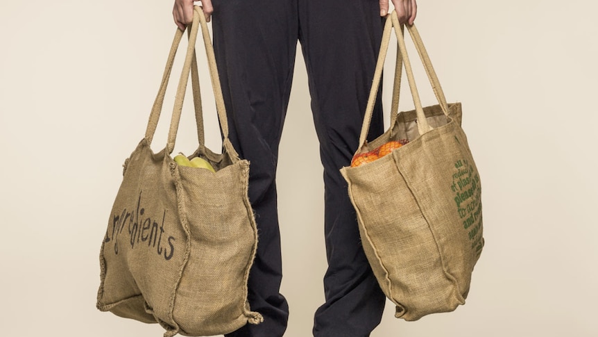 Person holding two shopping bags