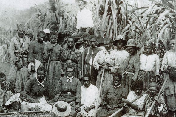 Black-and-white image of South Sea Islanders in a cane field