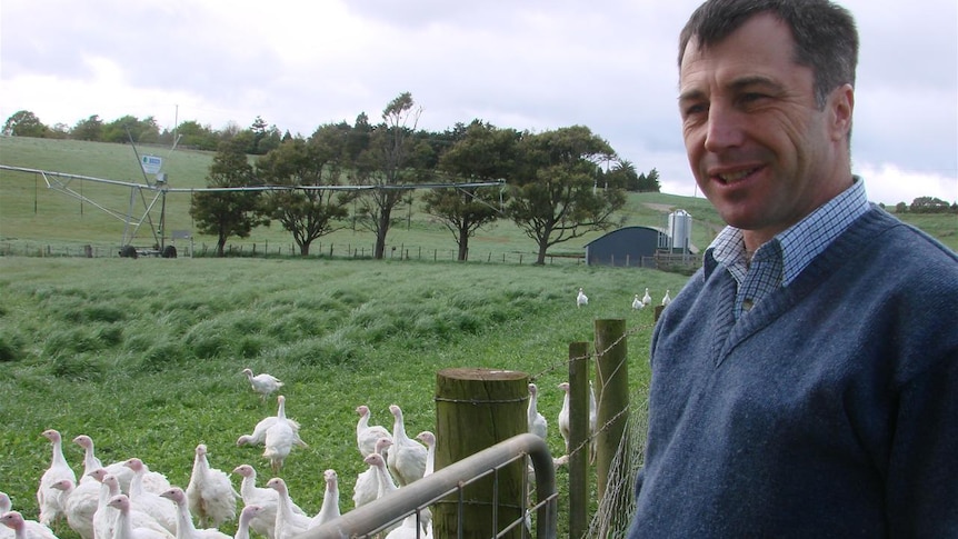 Rob Nichols is studying animal welfare and free range systems as part of his Nuffield scholarship
