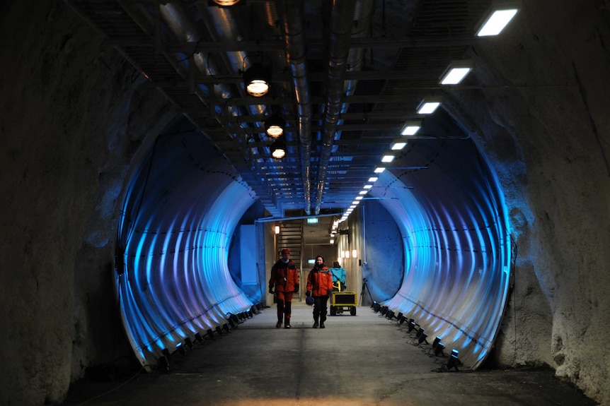 Lit tunnel of the Svalbard Global Seed Vault.