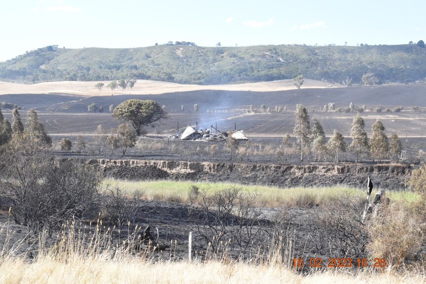 Burnt paddocks with bushland in the background. 