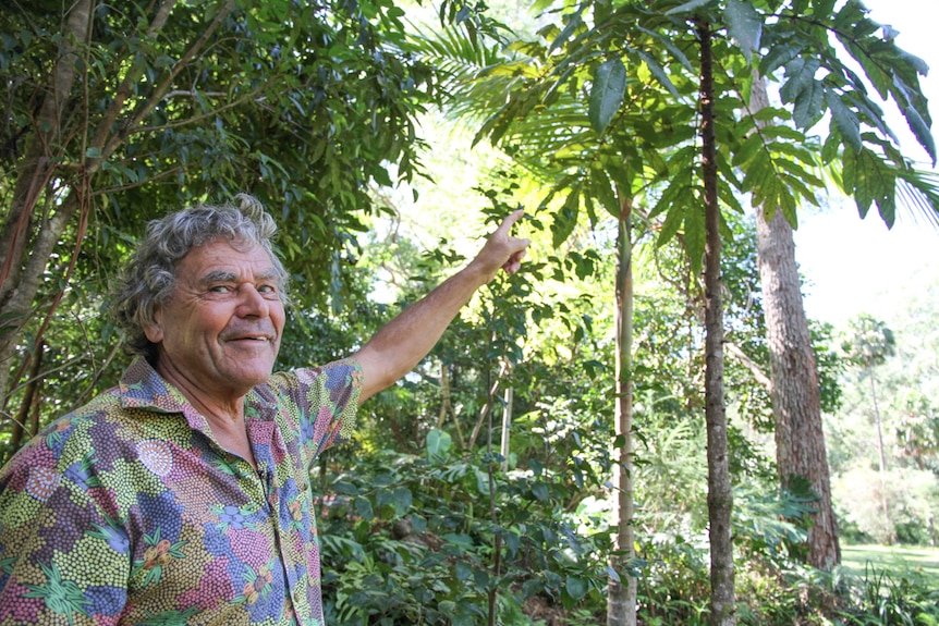 A man in a colourful shirt pointing to a tall tree.
