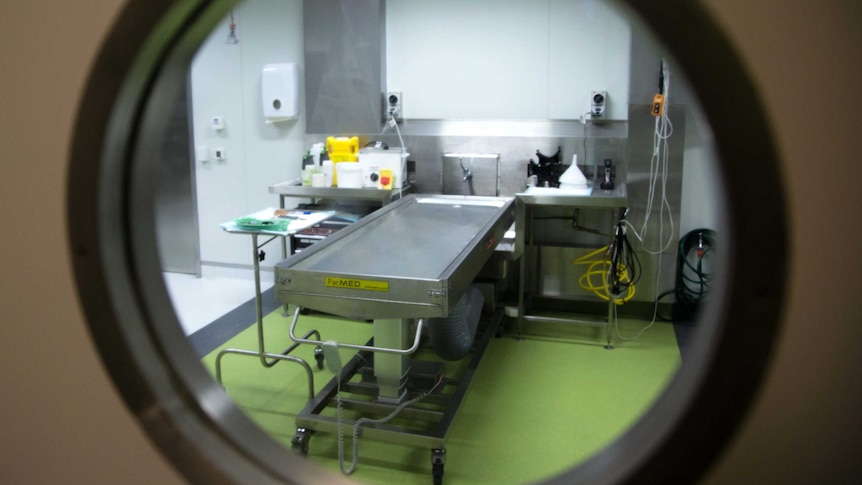 A slab inside a Sydney morgue