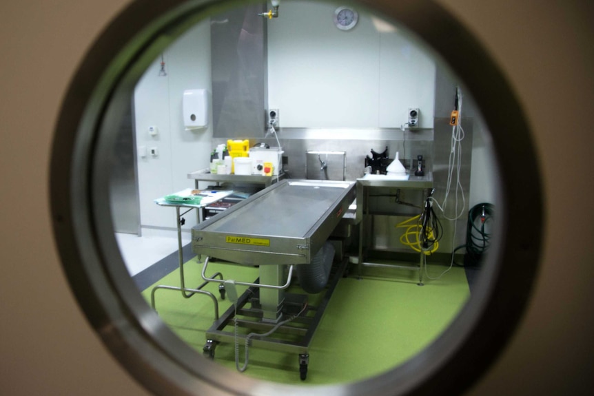 A slab inside a Sydney morgue
