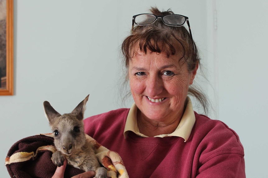 A woman smiles as she holds up a joey wrapped in a towel