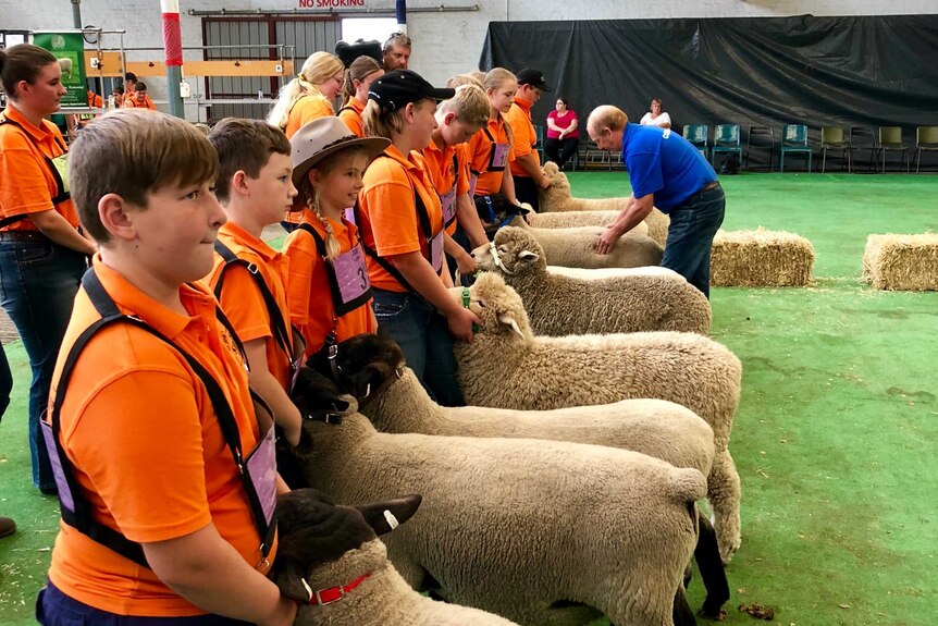 A group of students in a line getting assessed for how they handled their sheep.