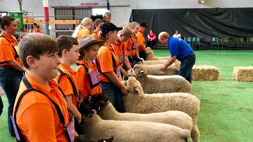 A group of students in a line getting assessed for how they handled their sheep.