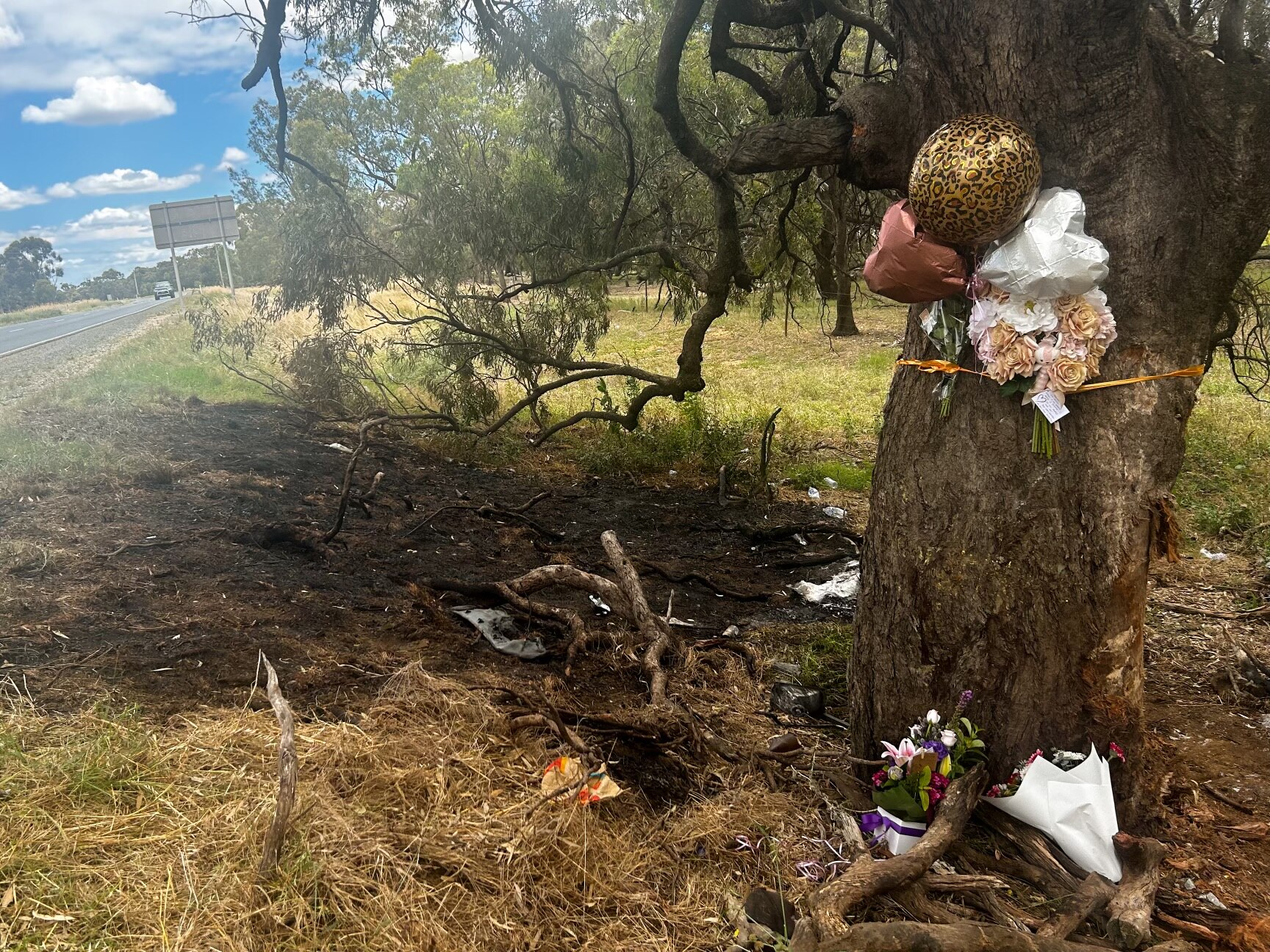 Flowers and balloons tied to a tree on the side of the highway where the crash took place.