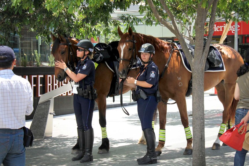 Mounted police officers and their horses