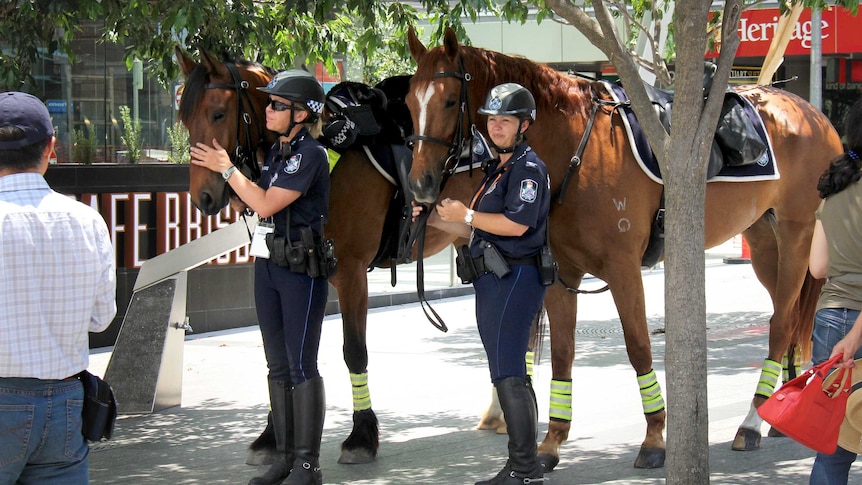 Mounted police officers and their horses