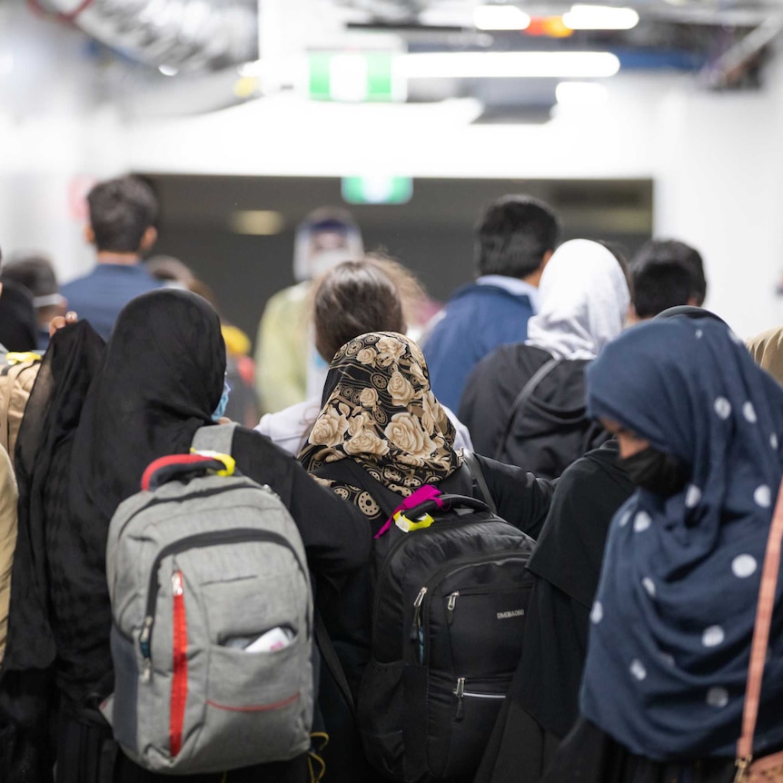 Afghan refugees evacuated to Australia