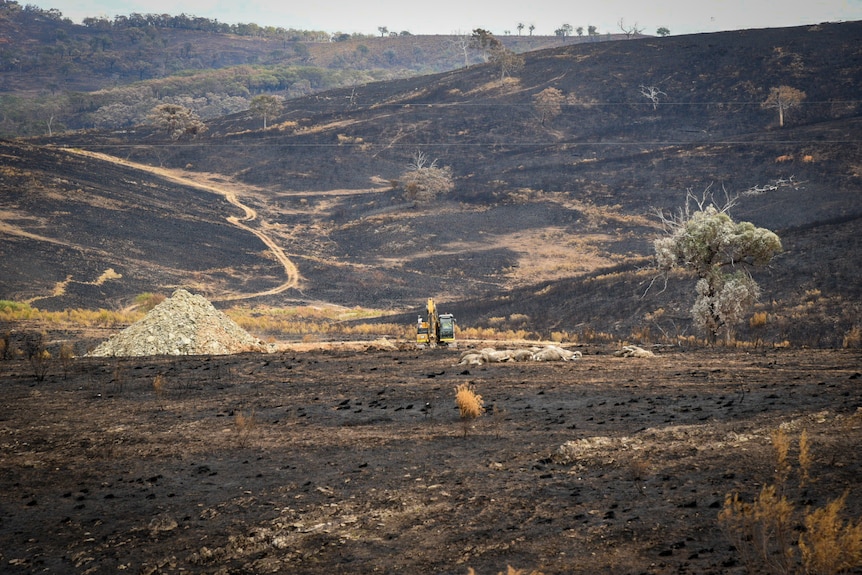 Burnt hilly landscape with a yellow digger in the middle