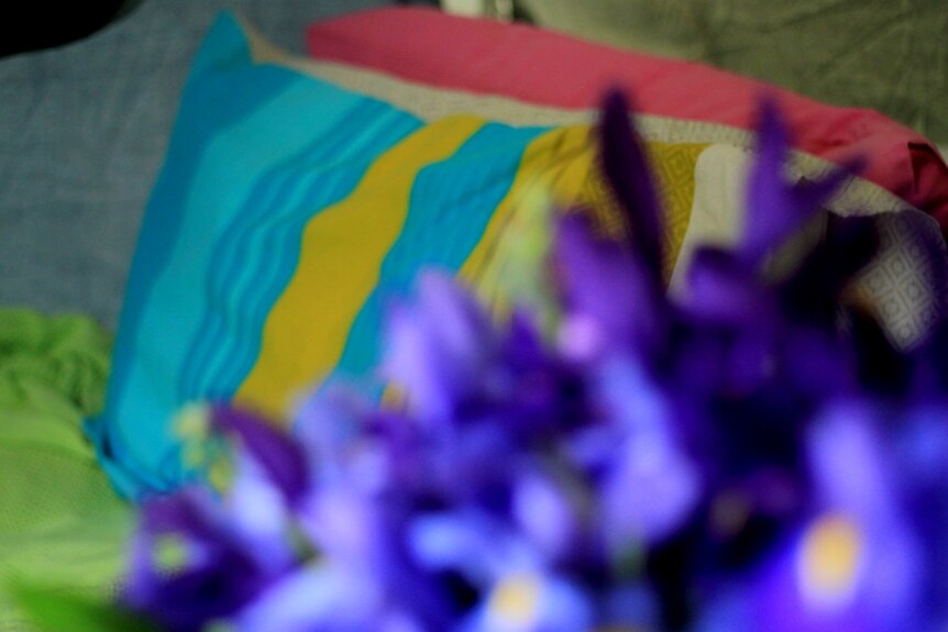 A close up shot of blue flowers in the foreground, and a bed and pillow in the background