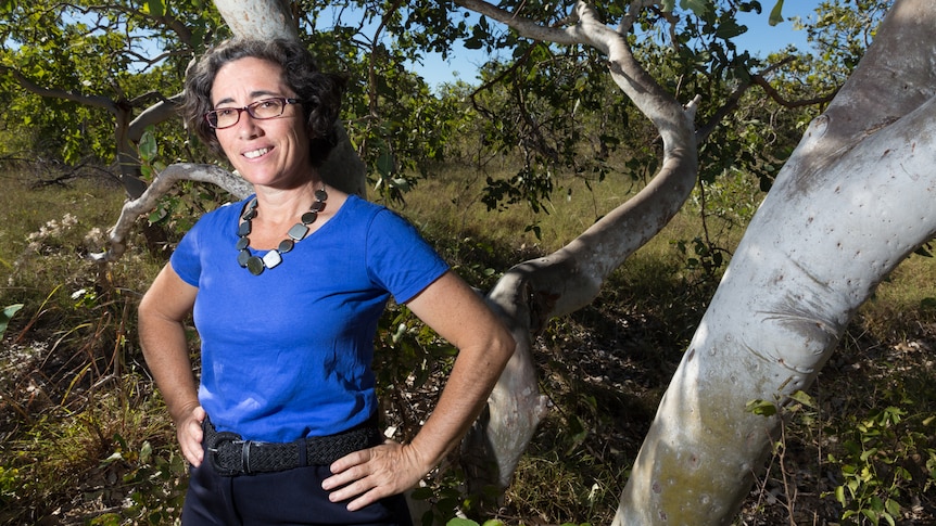 A woman with dark curly hair, wearing glasses and a blue top, standing in front of a gum tree.