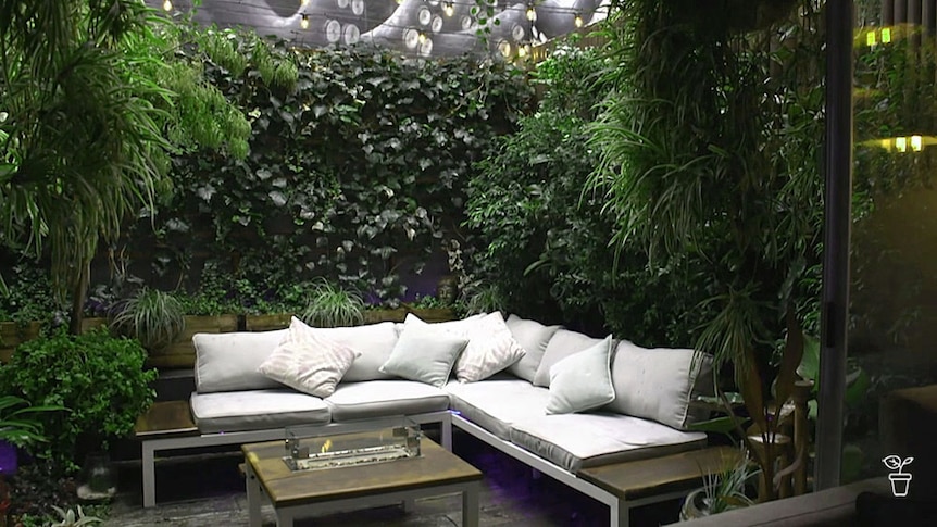 A courtyard garden filled with plants and an outdoor sofa.
