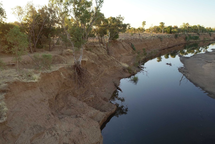 The National Heritage-listed Fitzroy River has been under threat from the invasive rubber vine plant.