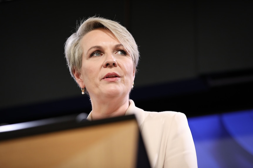 Tanya Plibersek has short blonde well-groomed hair, wears cream suit, speaks at a lecture.